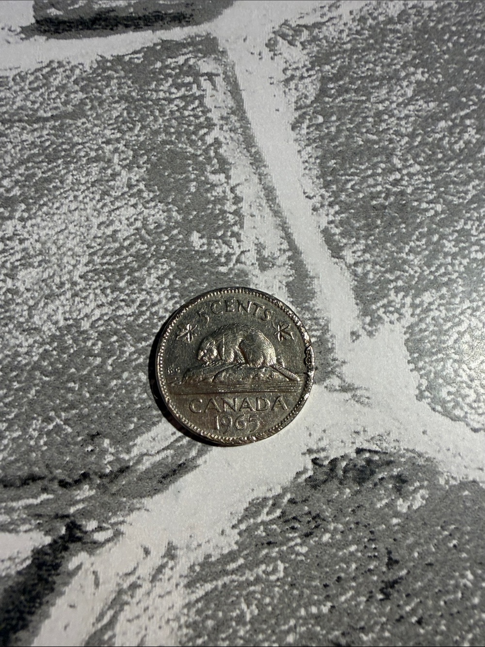 Rare 5 cent Canadian coin